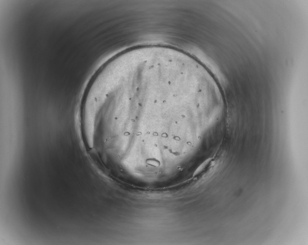 X0000101470951200807281017