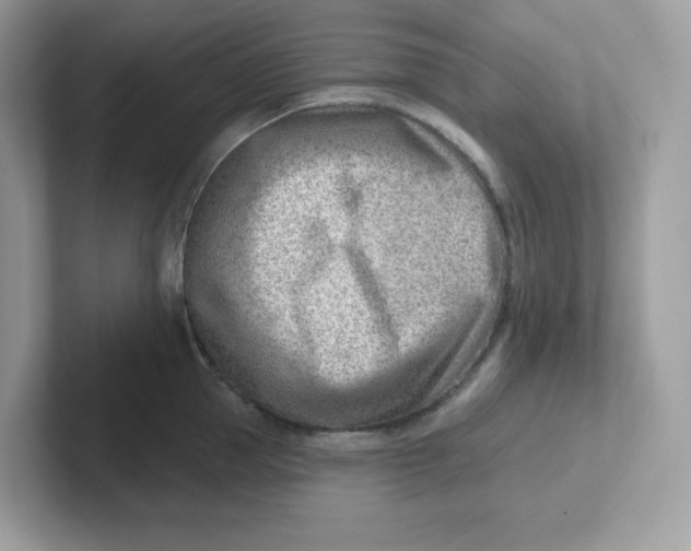 X0000101470953200807281017