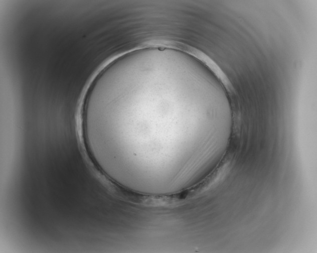 X0000101470955200807281017