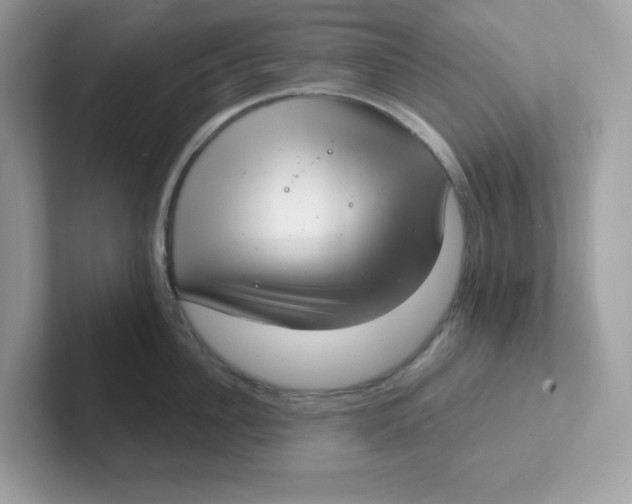 X0000101470956200807281017