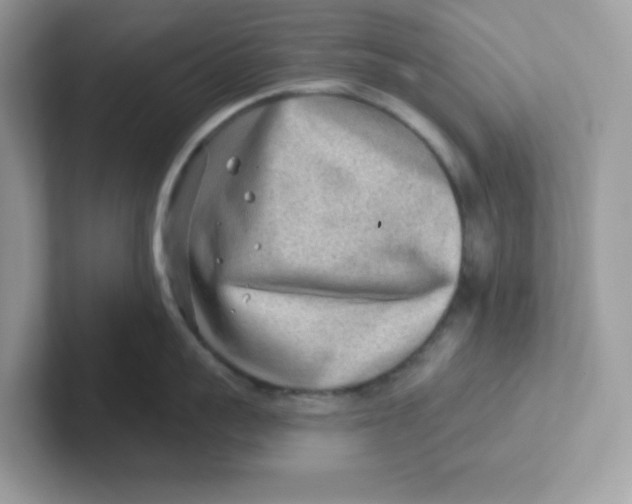 X0000101470959200807281017