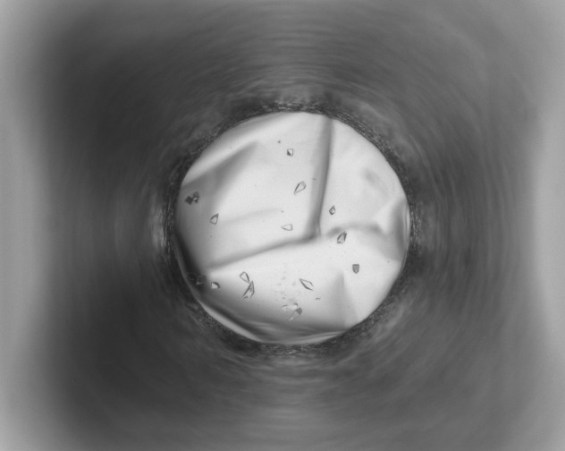 X0000101470962200807281016