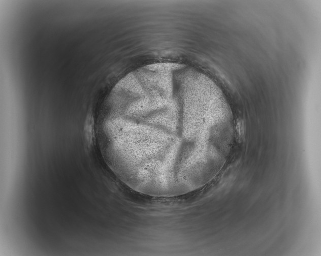 X0000101470963200807281016