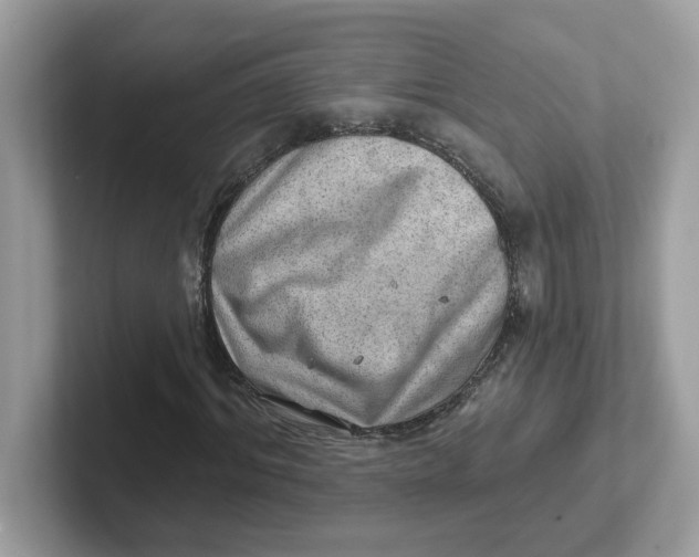 X0000101470964200807281016