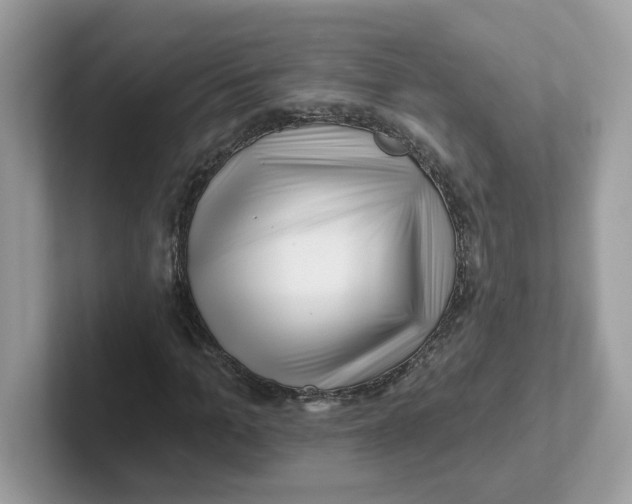 X0000101470965200807281016