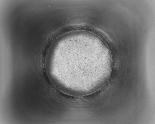 X0000101470966200807281016