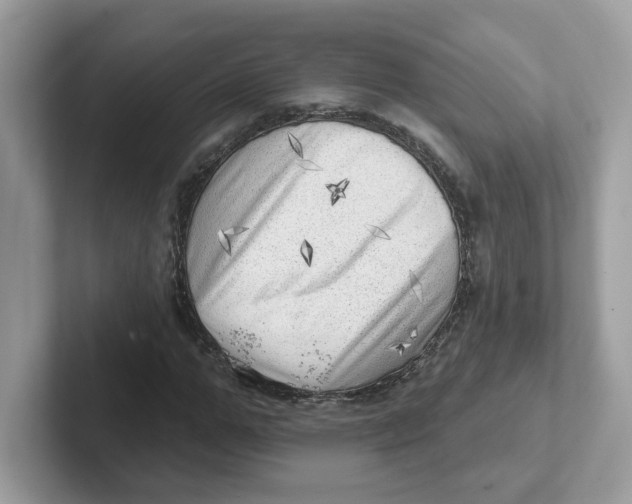 X0000101470967200807281016