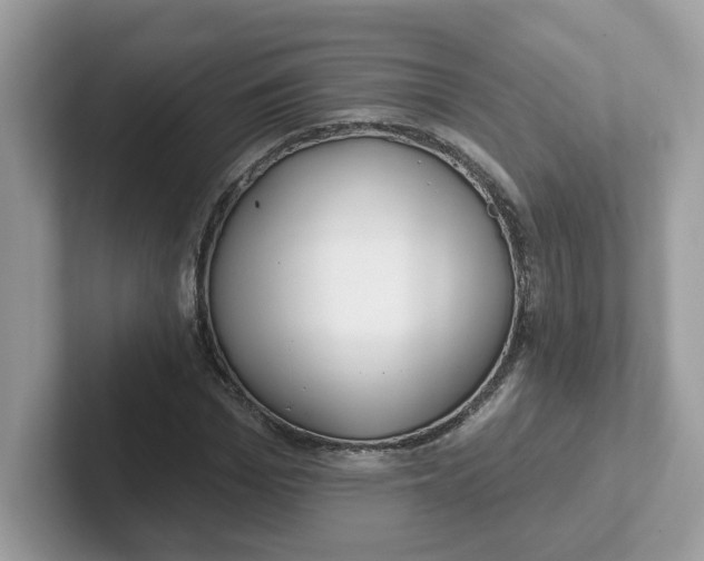 X0000101470969200807281016