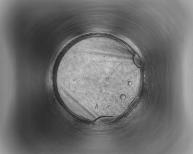 X0000101470972200807281016