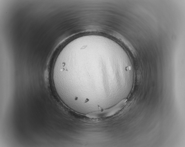 X0000101470975200807281016