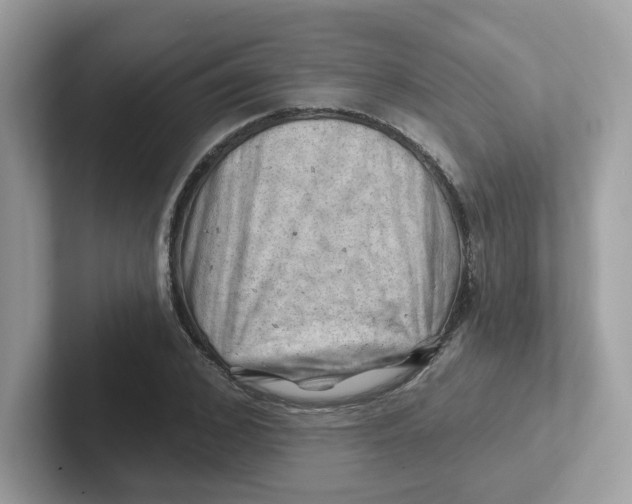 X0000101470976200807281016