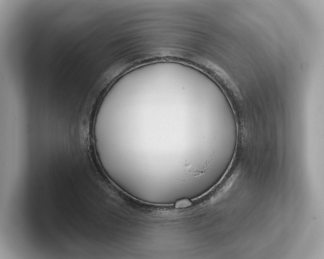 X0000101470977200807281016