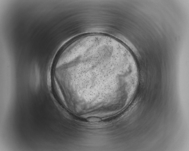 X0000101470980200807281016