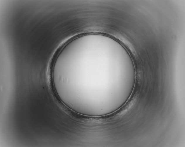 X0000101470981200807281016