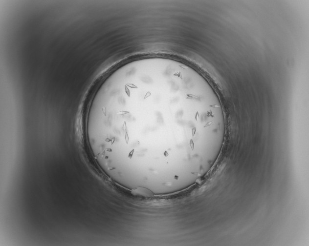 X0000101470982200807281016