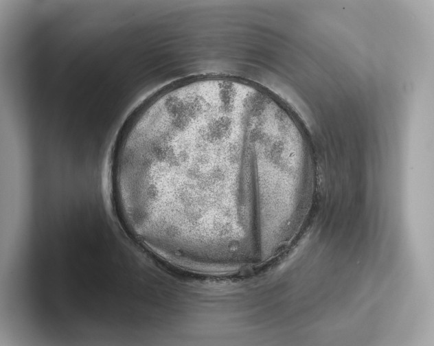 X0000101470983200807281016