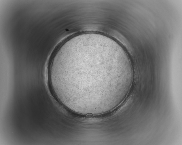 X0000101470984200807281016