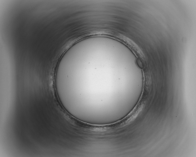 X0000101470985200807281016