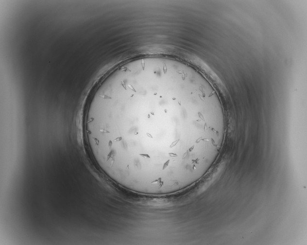 X0000101470986200807281016