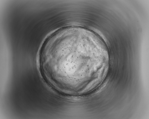 X0000101470987200807281016