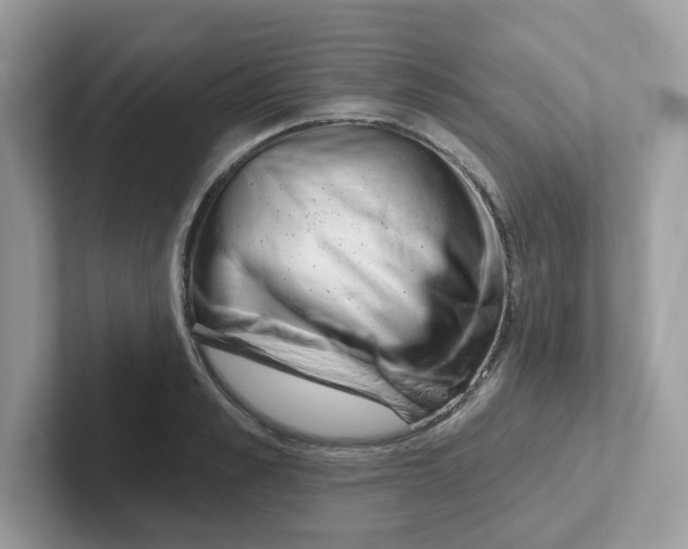 X0000101470989200807281016