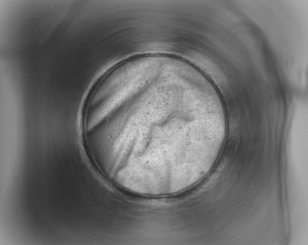 X0000101470990200807281016