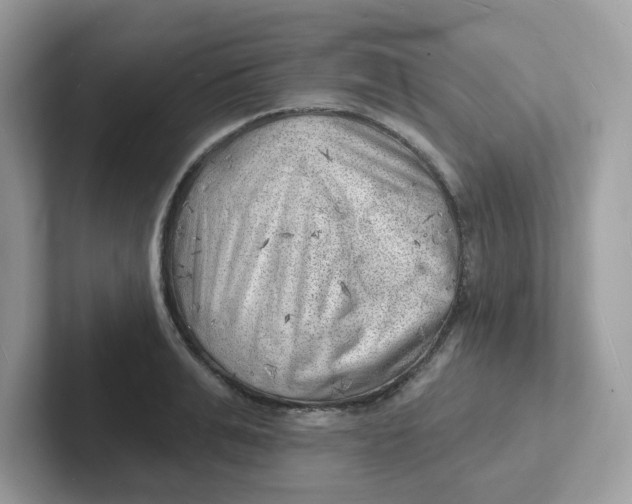 X0000101470991200807281016