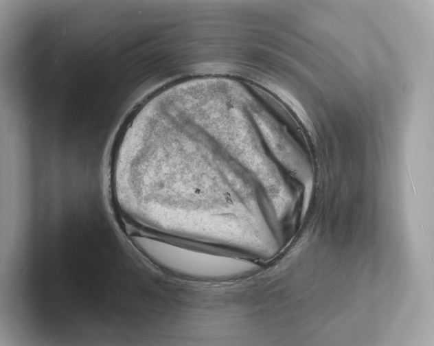 X0000101470992200807281016