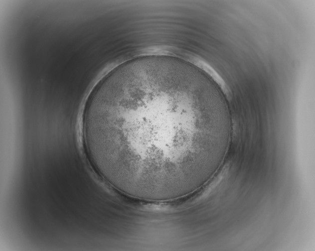 X0000101470994200807281016