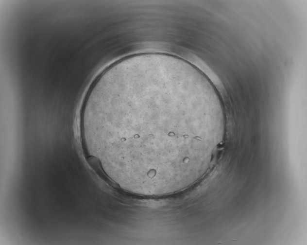 X0000101470996200807281016