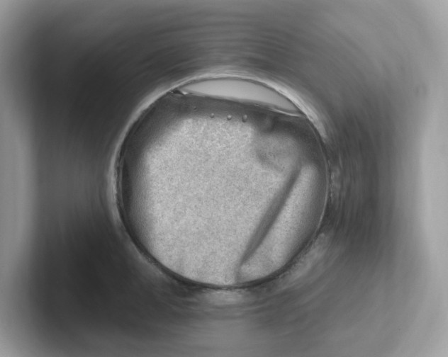 X0000101470998200807281016