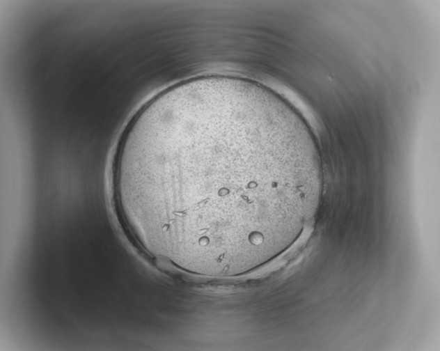 X0000101470999200807281016