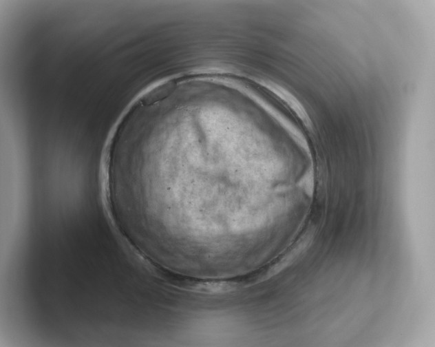 X0000101471000200807281016