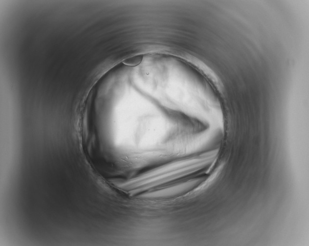 X0000101471001200807281016