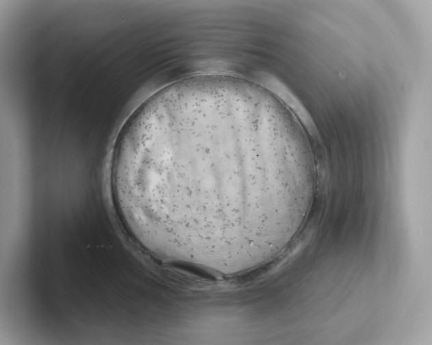 X0000101471002200807281016