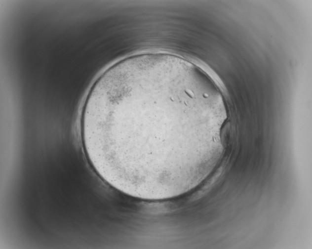 X0000101471004200807281016