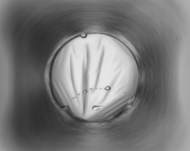 X0000101471005200807281016