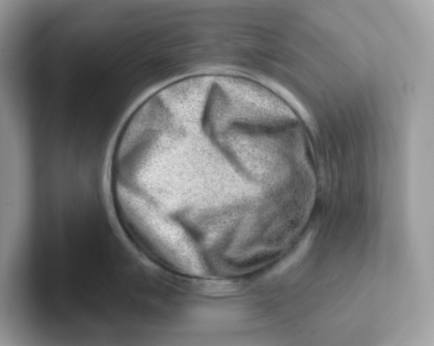 X0000101471007200807281015