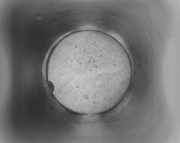 X0000101471008200807281015