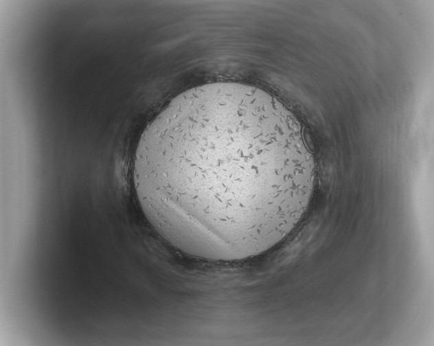 X0000101471010200807281015