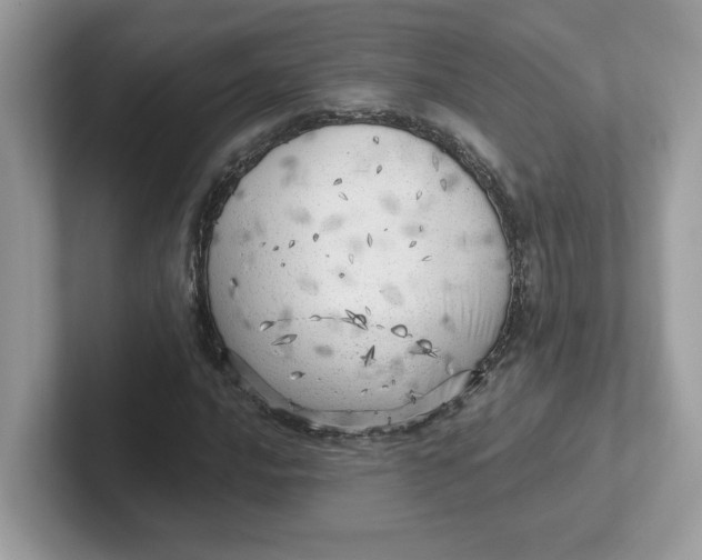 X0000101471016200807281015