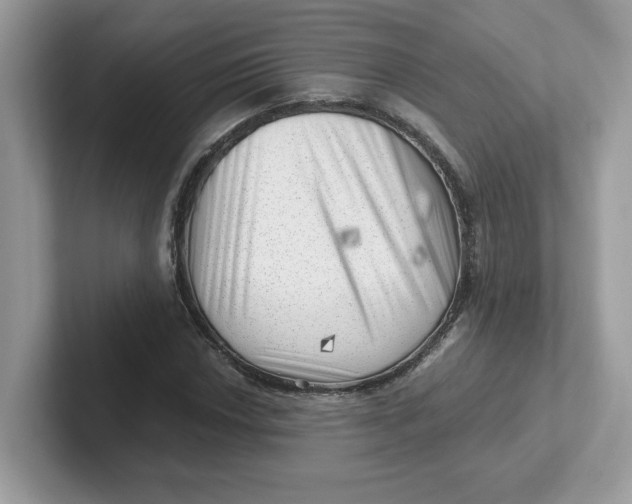 X0000101471018200807281015