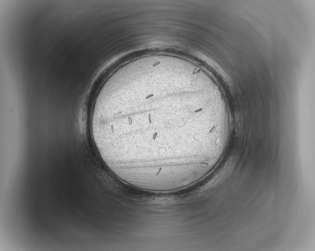 X0000101471021200807281015