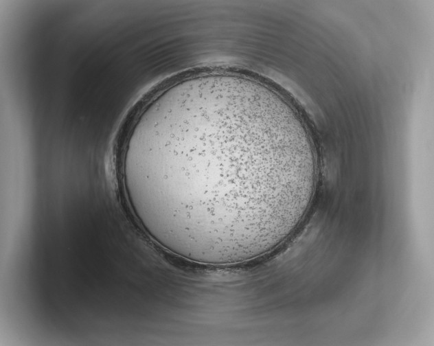 X0000101471022200807281015