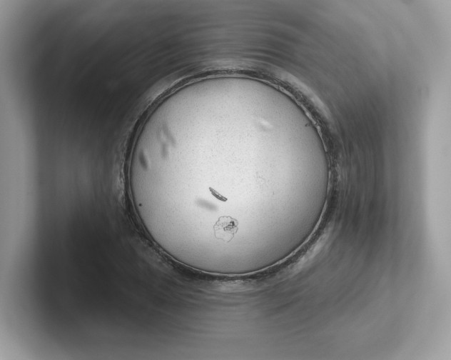 X0000101471025200807281015