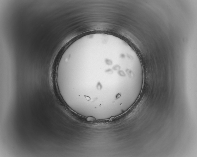 X0000101471026200807281015