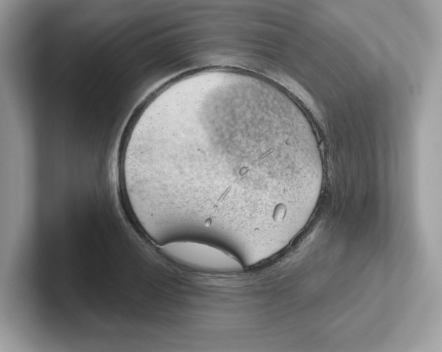 X0000101471028200807281015