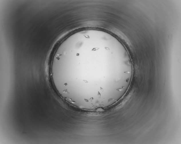 X0000101471029200807281015