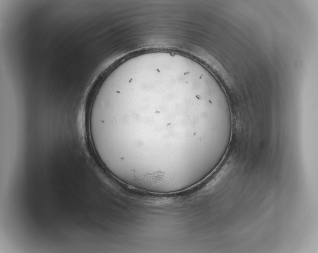 X0000101471030200807281015