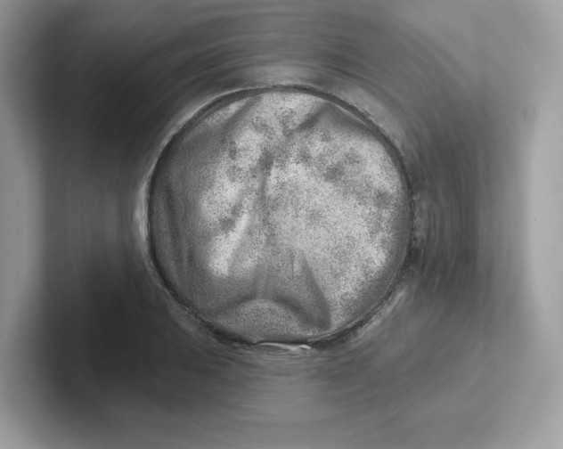 X0000101471031200807281015